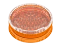 volcano.png