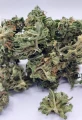 cbd-harmony.jpg