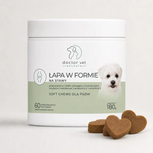 Lapa w formie - na stawy dla psa
